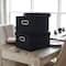 Household Essentials Storage Bins with Lids, 2ct.